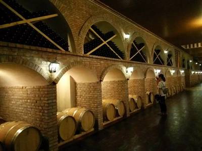 【暑期實(shí)踐】漫漫絲綢路&middot;醇醇寧夏紅