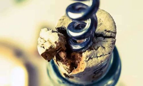 原來紅酒瓶塞是這樣制造的,和我想的完全不一樣,長(zhǎng)見識(shí)了