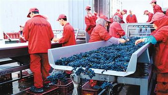 11月5日首屆國(guó)際進(jìn)博會(huì)開幕 中國(guó)準(zhǔn)備 買買買